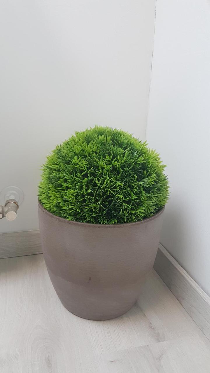 Promenad Apartman Mohács 외부 사진